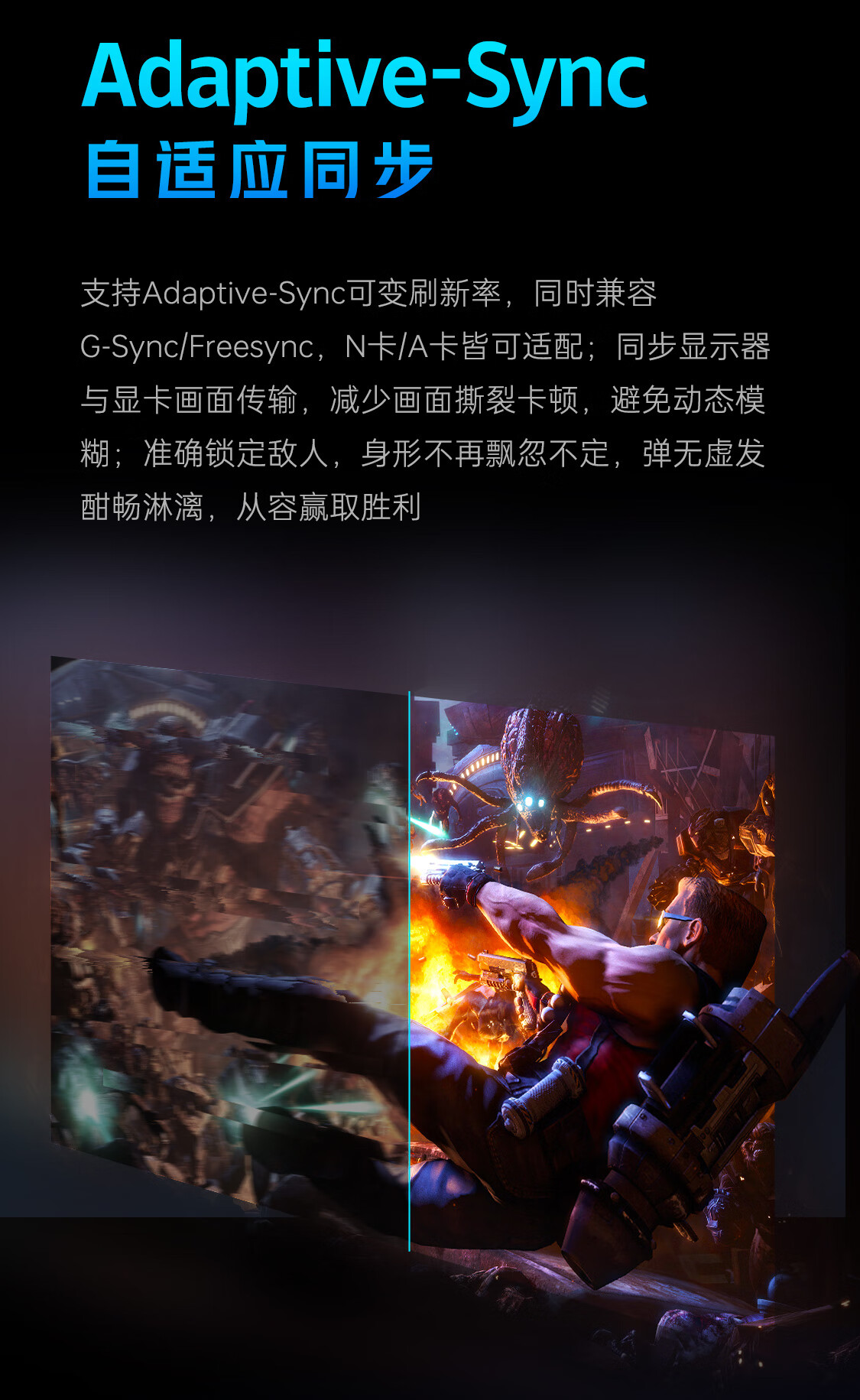 2025052910084302452